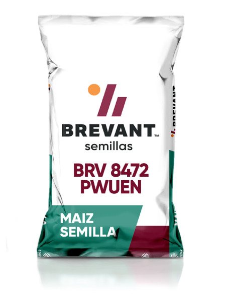 Producto Maiz BRV 8472 - Banda 3 Imagen 1