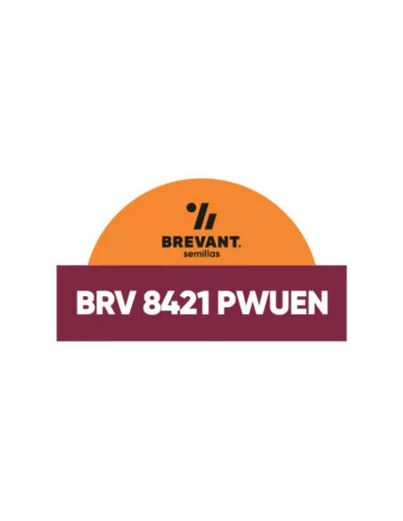 Producto Maiz BRV 8421 - Banda 3 - PWUE Imagen 1