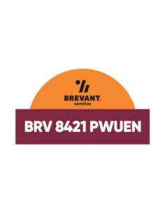 Producto Maiz BRV 8421 - Banda 2 - PWUE Imagen 1