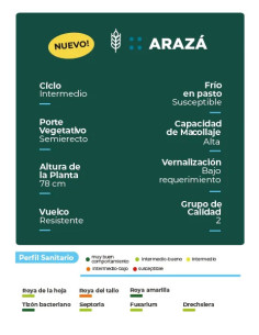 Trigo Araza HO - 1era Multiplic. - PROMO - HORUS AGRO | Bipolos 2