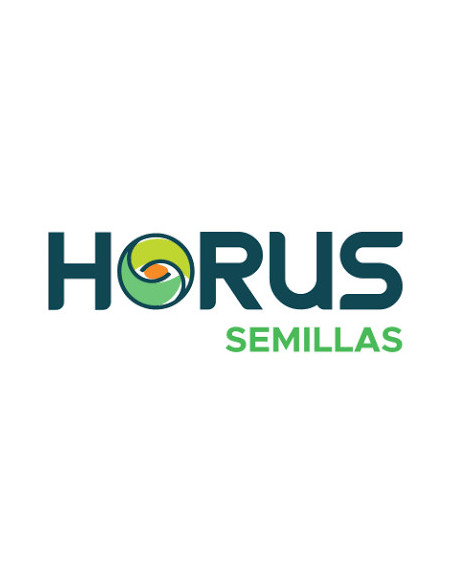 Trigo Arce HO - 1era Multiplic. - PROMO - HORUS AGRO | Bipolos