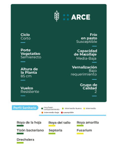 Trigo Arce HO - 1era Multiplic. - PROMO - HORUS AGRO | Bipolos 2