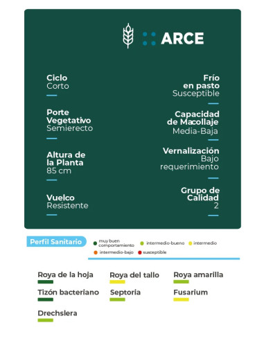 Trigo Arce HO - 1era Multiplic. - PROMO - HORUS AGRO | Bipolos