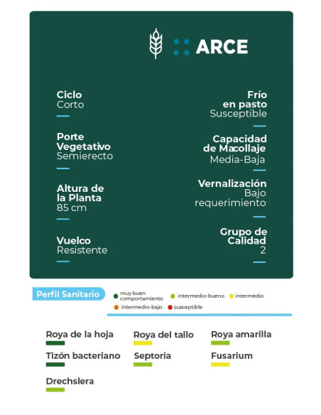 Trigo Arce HO - 1era Multiplic. - PROMO - HORUS AGRO | Bipolos