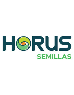 Trigo Laurel HO - 1era Multiplic. - PROMO - HORUS AGRO | Bipolos