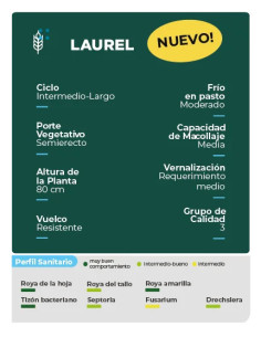 Trigo Laurel HO - 1era Multiplic. - PROMO - HORUS AGRO | Bipolos 2