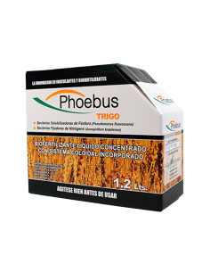 Producto Top Seed Imagen 1