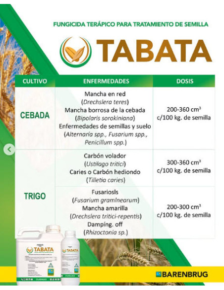 Producto Tabata Imagen 2