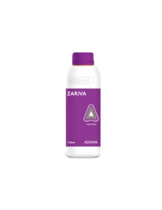 Producto Zariva Imagen 1