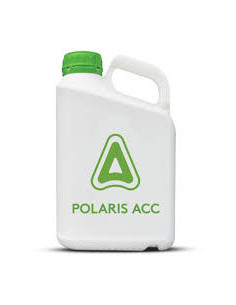 Polaris - PROMO - ADAMA  | Bipolos