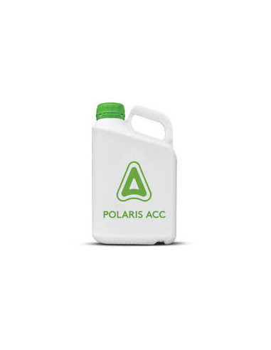 Polaris - PROMO - ADAMA  | Bipolos