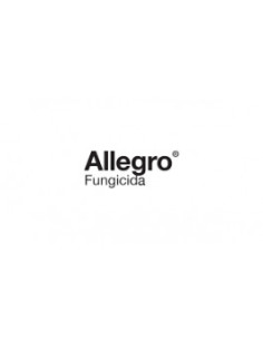 Producto Allegro Imagen 1
