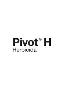 Producto Pivot H Imagen 1