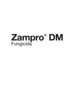 Producto Zampro Imagen 1