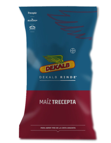 Producto Maiz DK77-02 -TRE - Banda 1 Imagen 2