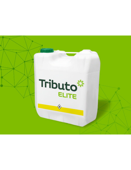 Producto Tributo Elite Imagen 1