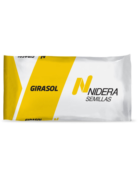 Producto Girasol NS 1113- Banda 1 - CL Imagen 1