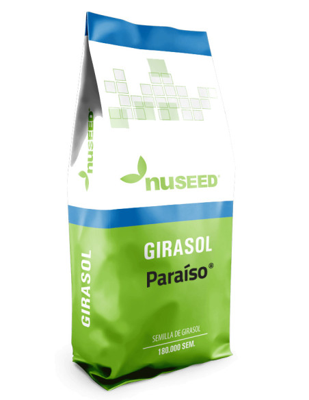 Producto Girasol Paraiso 102- Banda 2 - CL Imagen 1