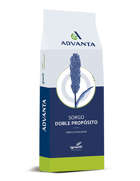 Producto Sorgo VDH 422 Imagen 1