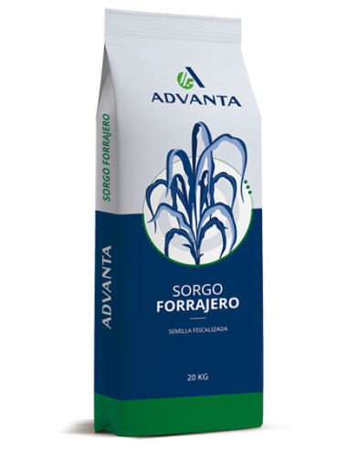 Producto Sorgo ADV 2701 ULTRA - FTS Imagen 1