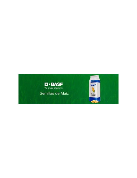 Producto Maiz BASF 7339- Banda 1 - VIP Imagen 1