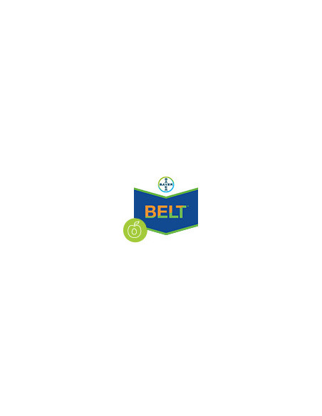 Producto Belt 48 Sc Imagen 1