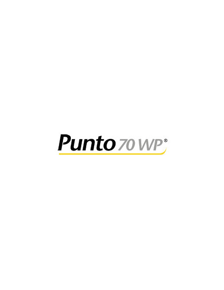 Producto Punto 70 Wp Imagen 1