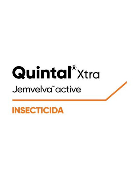 Producto Quintal Xtra Imagen 1