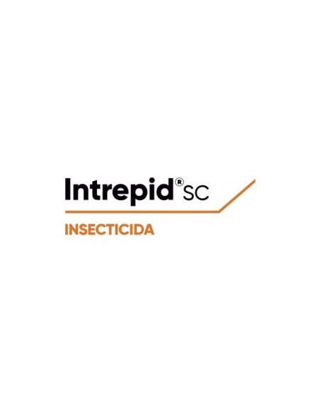 Producto Intrepid Sc Imagen 1