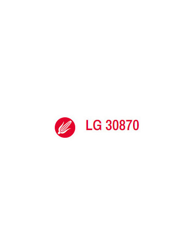 Producto Maiz LG 30870- Banda 1 - VT3 Imagen 2