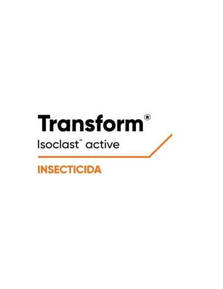 Producto Transform Imagen 1