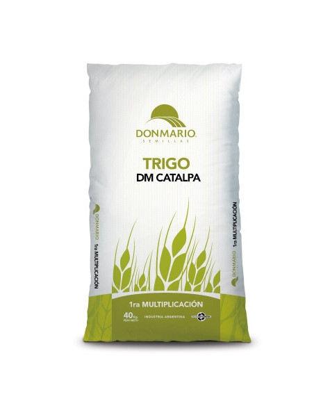 Producto Trigo DM Catalpa - 1era Multiplc. Imagen 1
