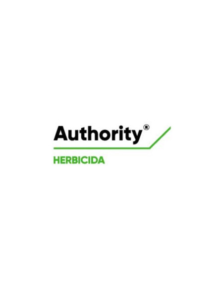Producto Authority Imagen 1