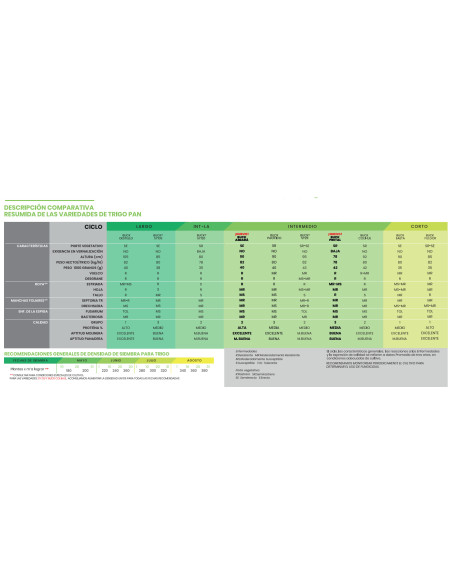 Producto Trigo SY 109 - 1era Multiplic. Imagen 2