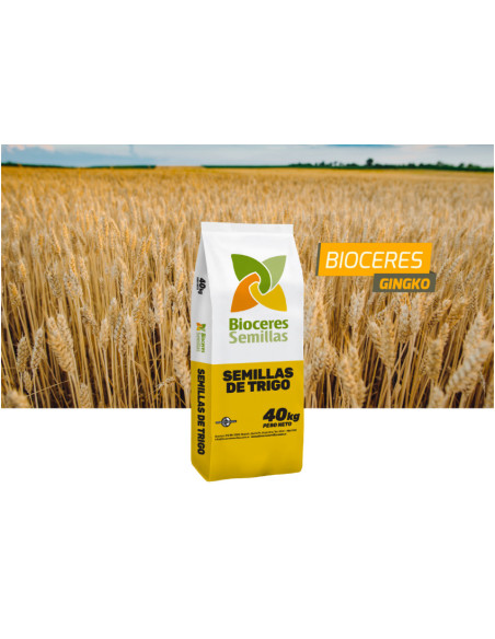 Producto Trigo Ginko - Vibrance Integral - 1era Multiplic. Imagen 1