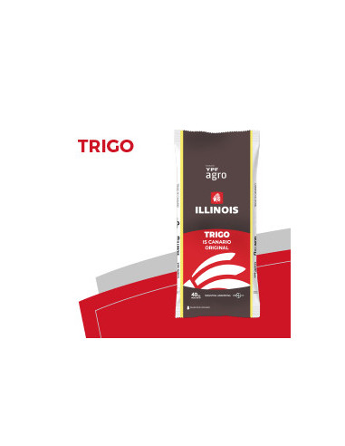 Producto Trigo IS Canario - Vibrance Integral - 1era Multiplic. Imagen 1