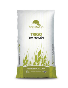 Producto Trigo DM Pehuen - Sistiva - 1era Multiplic. Imagen 1