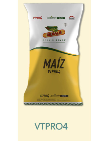 Producto Maiz DK72-10-VT4-RGNORTE - Banda 1 Imagen 1
