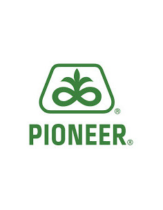 Producto Maiz P2167-LEP - Banda 3 Imagen 1