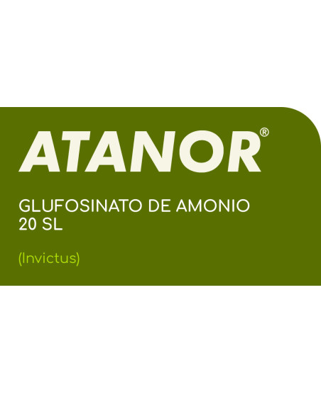 Producto Invictus Imagen 2