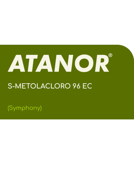 Producto Symphony Imagen 1