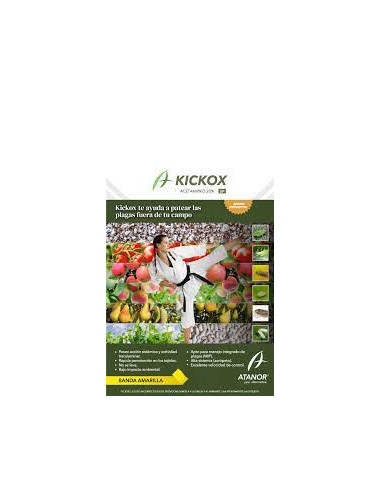 Producto Kickox Imagen 1