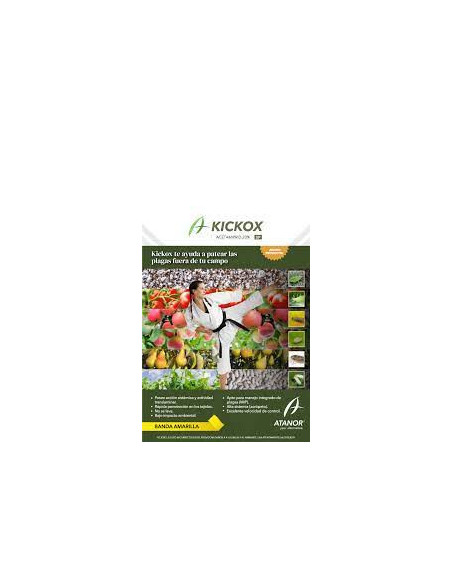 Producto Kickox Imagen 1