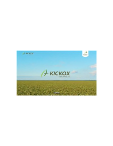 Producto Kickox Imagen 2