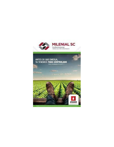 Producto Milenial Imagen 3