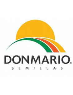 Producto Soja 40E23 1era Multiplic. Imagen 1