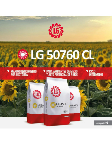 Producto Girasol LG 50760- Banda 2 - CL Imagen 3