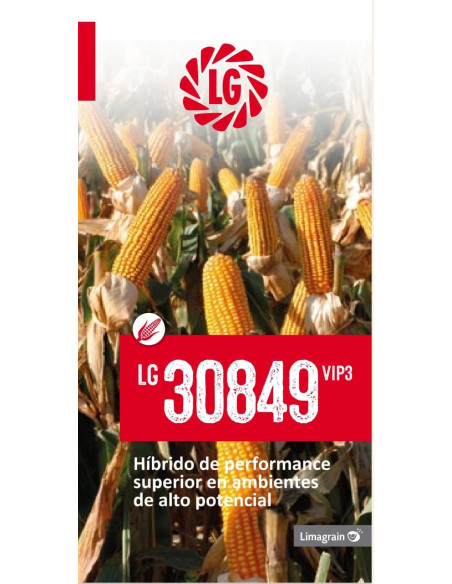 Producto Maiz LG 30849- Banda 2 - VIP Imagen 3