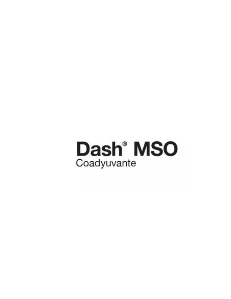 Producto Dash Mso Max Imagen 1