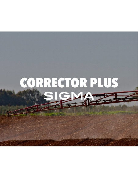 Producto Corrector Plus Sigma Imagen 1